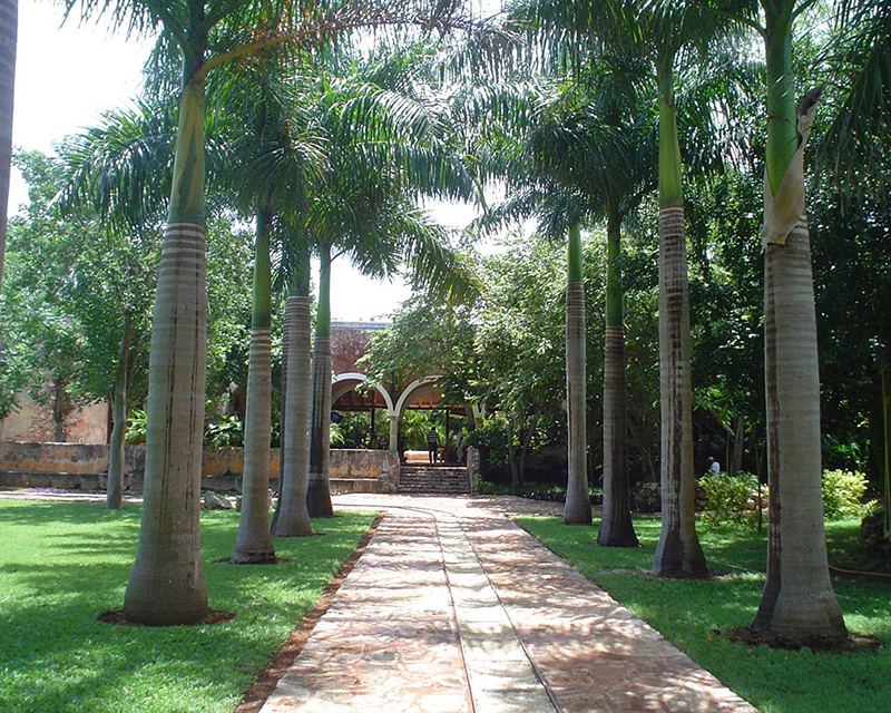 Hacienda Ochil